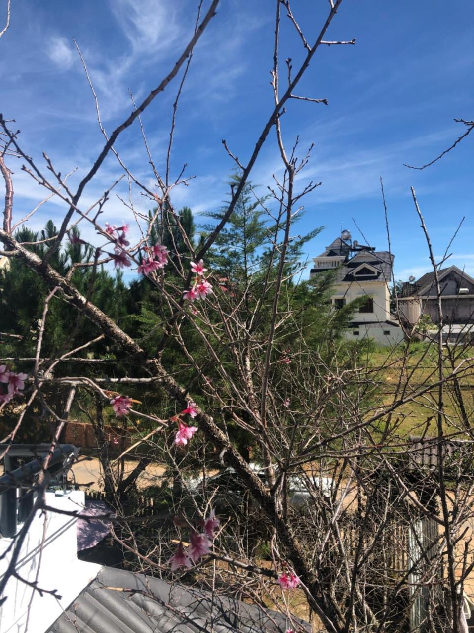 Da Lat Lotus Villa Boutique Екстериор снимка